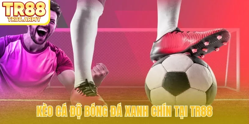 Kèo cá độ bóng đá xanh chín tại TR88